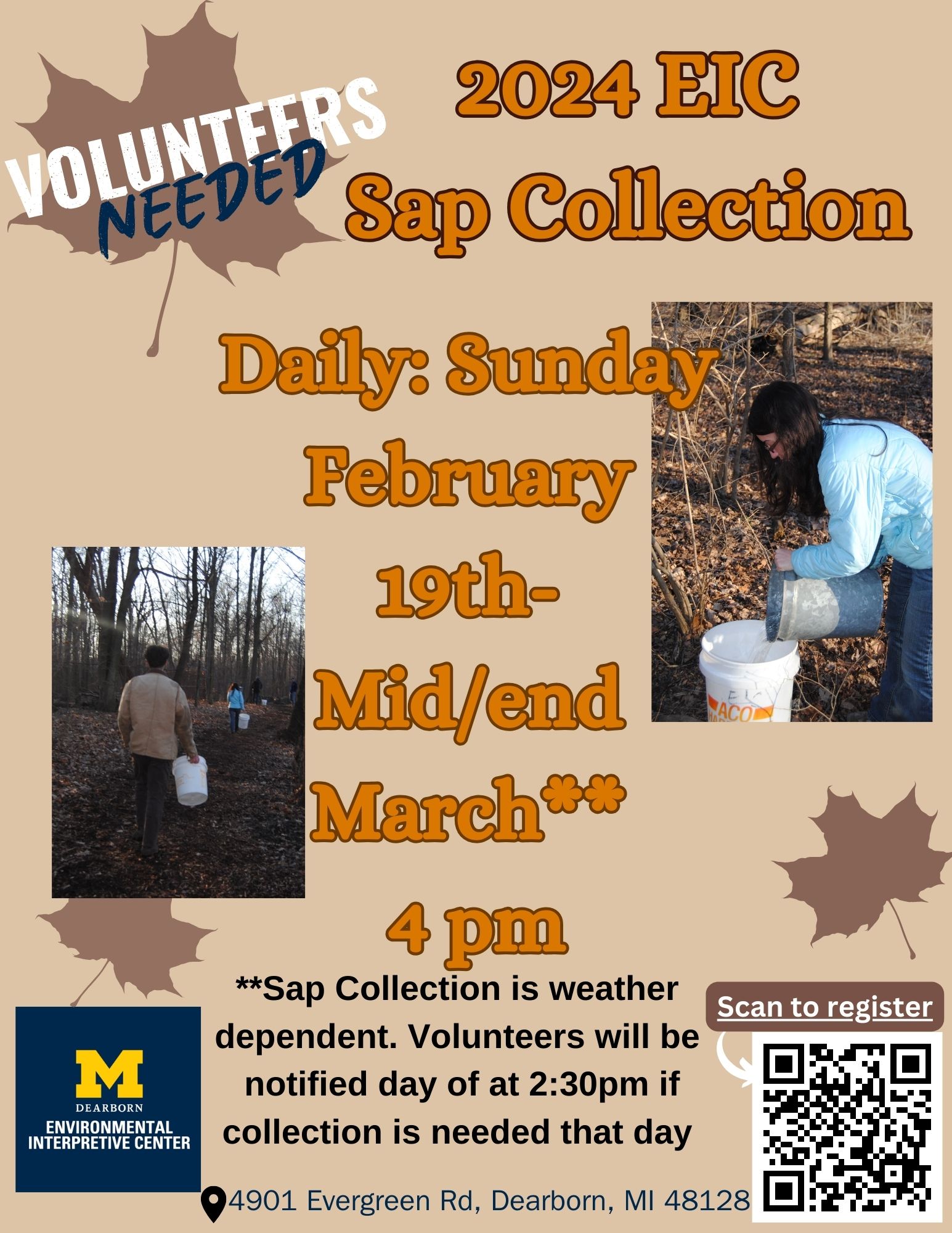 Sap Collection Event University of Michigan Dearborn